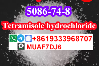 Tetramisole hydrochloride CAS5086748 for sale 