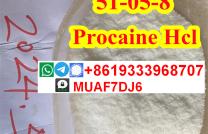 Good quality of  51-05-8 Procaine Hydrochloride mediacongo