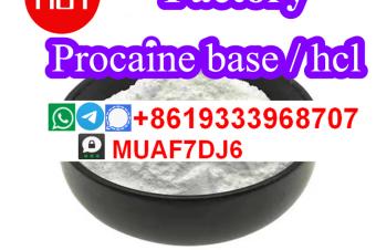 Good quality of  51058 Procaine Hydrochloride