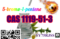 +8615355326496 Fast Delivery to Europe Canada 5-bromo-1-pentene Cas 1119-51-3 liquid mediacongo