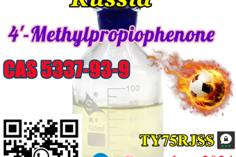 8615355326496 Colorless liquid 4Methylpropiophenone Cas 5337939 Chemicals with Fast Delivery