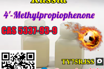 8615355326496 Colorless liquid 4Methylpropiophenone Cas 5337939 Chemicals with Fast Delivery