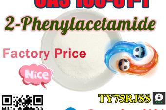 8615355326496 Other Chemicals CAS 103811 2Phenylacetamide Powder with Factory Price
