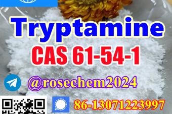 8615355326496 Top quality Tryptamine CAS 61541 with good price