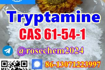 8615355326496 Top quality Tryptamine CAS 61541 with good price