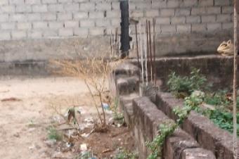 vente parcelle sur boulevard Lumumba dans la commune de la nsele dans un trs bon emplacement 