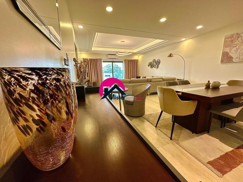Vente dun magnifique appart pro max avec ou sans meubles de 205m avec 3CHS dans un immeuble moderne proximit de Hilton Htel et Ambassade de Portugal  Gombe