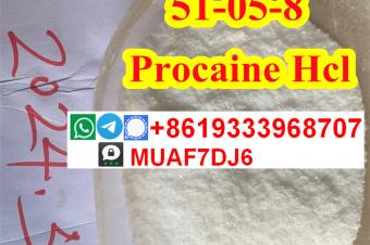 Procaine Hydrochloride hcl Procaine Base CAS59461  51058