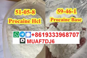 Procaine Hydrochloride hcl Procaine Base CAS59461  51058