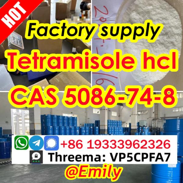 Tetramisole hydrochloride cas 5086748 Best Price 99 Purity
