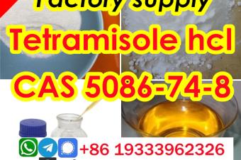 Tetramisole hydrochloride cas 5086748 Best Price 99 Purity