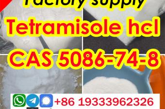 Tetramisole hydrochloride cas 5086748 Best Price 99 Purity