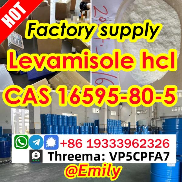 Levamisole hydrochloride cas 16595805 Factory Supply provide Sample