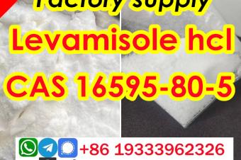 Levamisole hydrochloride cas 16595805 Factory Supply provide Sample