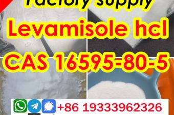 Levamisole hydrochloride cas 16595805 Factory Supply provide Sample