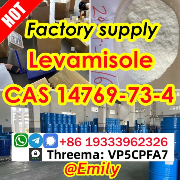 Levamisole CAS 14769734 Suppiler Levamisole Base Factory Sample Available