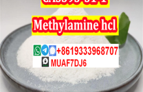order Methylamine hcl with high puirty CAS593-51-1  mediacongo