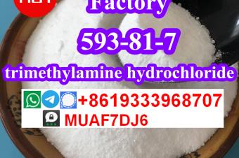 buy trimethylamine hydrochloride CAS593817 online russia 