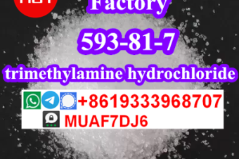 buy trimethylamine hydrochloride CAS593817 online russia 
