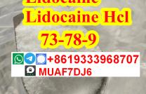 bulk order Lidocaine CAS CAS 73-78-9 free sample    mediacongo