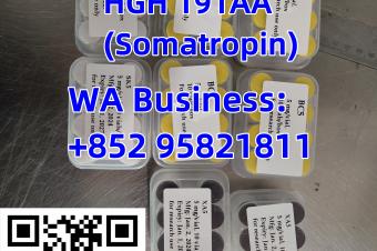 high quality HGH 191AASomatropin in stock