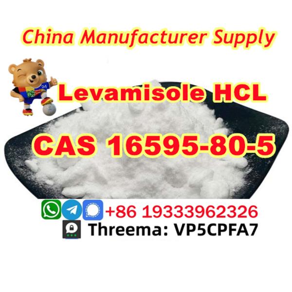 CAS 16595805 Levamisole HCL Safe transportation guarantee large stock