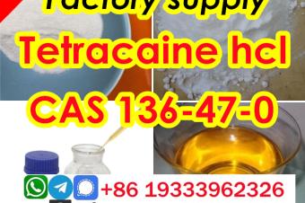 Cas 136470 tetracaine hydrochloride Safe transportation guarantee