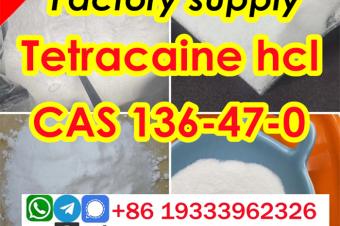 Cas 136470 tetracaine hydrochloride Safe transportation guarantee