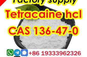 Cas 136470 tetracaine hydrochloride Safe transportation guarantee