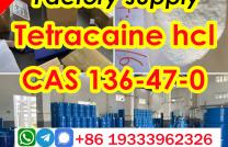 CAS 136-47-0 powder Tetracaine hydrochloride china Factory supplier 2T stock mediacongo