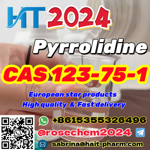 8615355326496 European star products with high quality and fast delivery Pyrrolidine Cas 123751