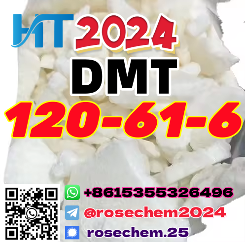 8615355326496 Fast Delivery E U DMT 99 Pure Powder Dimethyl terephthalate CAS 120616