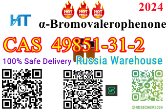 2Bromo1phenyl1pentanone CAS 49851312 8615355326496