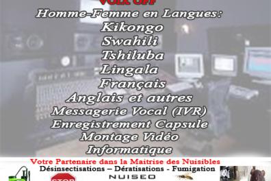 services_propositions_d_affaires Dieumerci Mulandu   