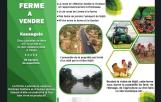 Ferme de 65 hectares de superficie à vendre à Kinshasa/ Kasangulu à YANDA 40 kilomètres avec Gombe au prix de 500.000$ à négocier