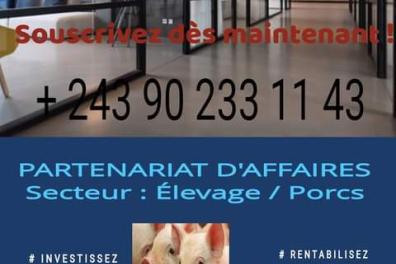 services_propositions_d_affaires ESTYV ET FRÈRES   