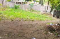 Terrain en vente à ma campagne Saint Luc 30msur30 à 300000 dollars à discuter possibilité de morceller en 2 soit 15msur30 à 150000 dollars à discuter mediacongo