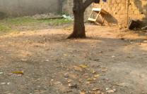 4 terrains à vendre sur la route Okapi 170000 dollars à discuter mediacongo
