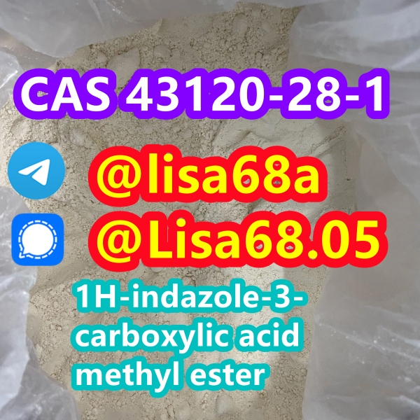 CAS 43120281 1Hindazole3carboxylic acid methyl ester C9H8N2O2