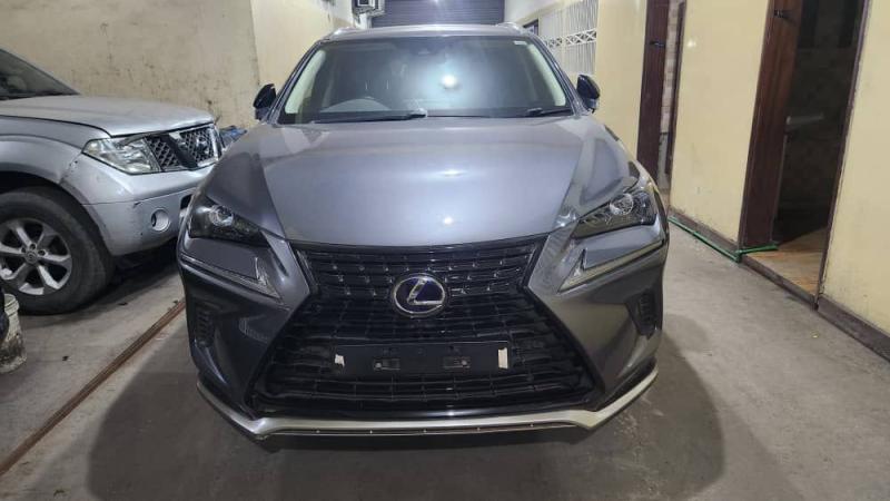 Lexus NX300