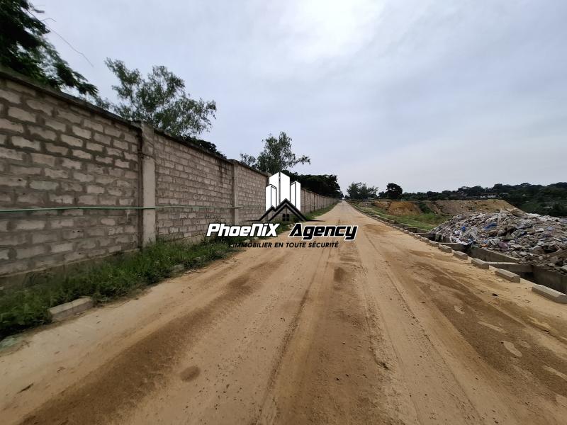 Terrain  vendre dans la commune de Ngaliema vers Tasok
