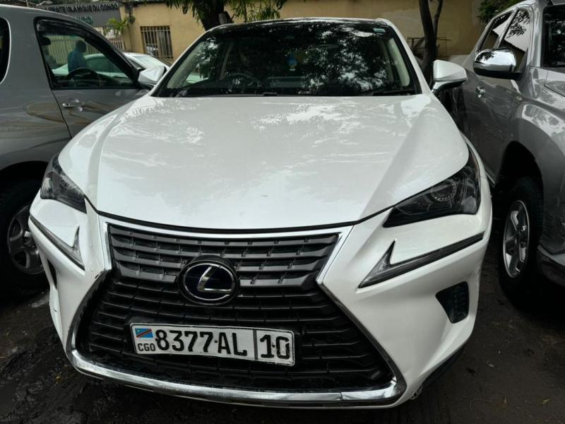 Lexus NX300