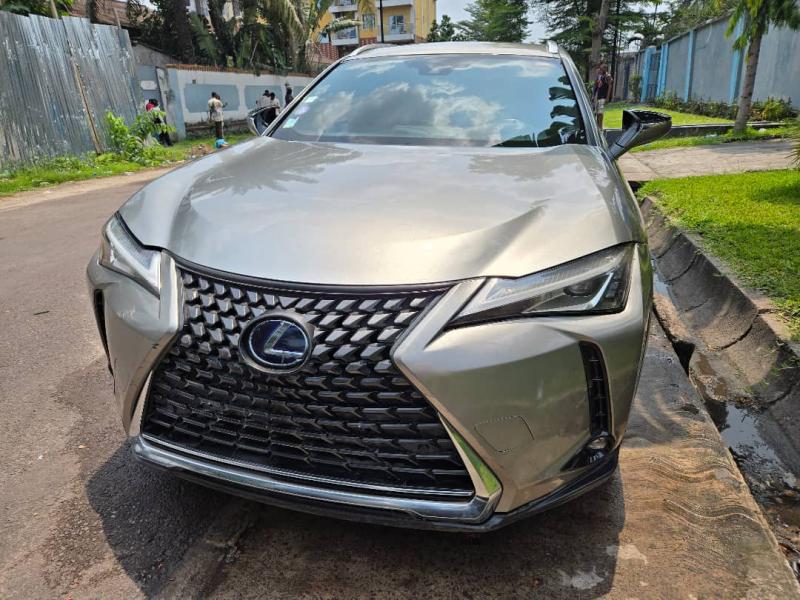 Lexus ux250