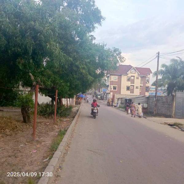 Terrain  vendre CNsele Qnganda sese 