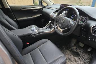 Lexus NX300h 2021
