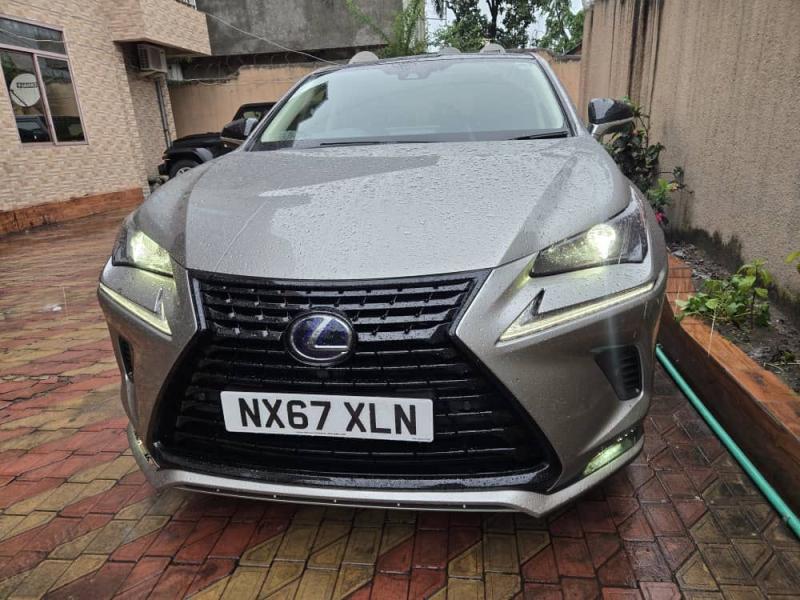 LEXUS NX 300h