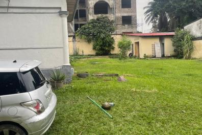 immobilier_vente_location Mme Mimi  