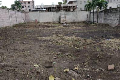 immobilier_vente_location OSES Immobilier  