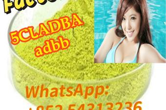 Safe shipping 5cladb 5cladba ADBB 5CL 852 54313236