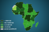 Coronavirus en Afrique : quels sont les pays impactés ?